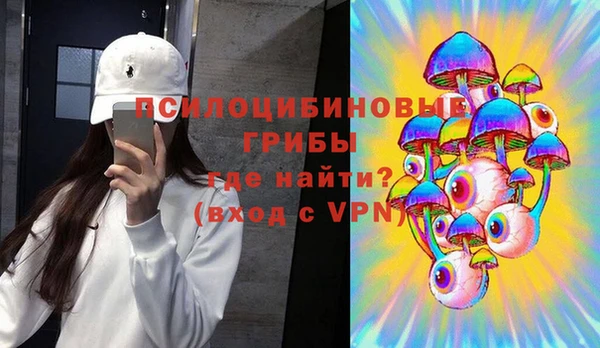 метадон Богданович