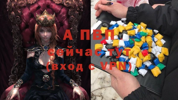 метадон Богданович