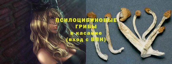 МДМА Богородицк