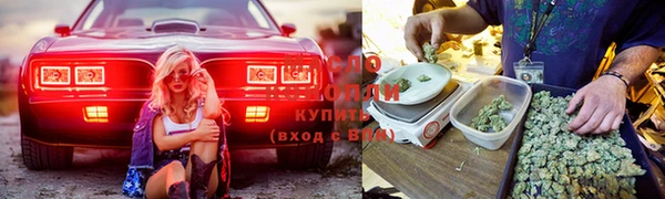 метадон Богданович