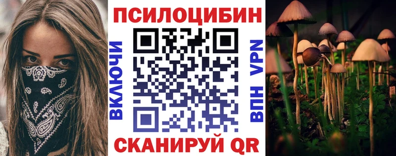 blacksprut рабочий сайт  Тюмень  Псилоцибиновые грибы MAGIC MUSHROOMS  дарнет шоп 